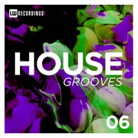 VA – House Grooves Vol. 06 [LWHG06]