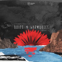 VA – Notes & Harmonies Vol. 8 VOLTCOMP1134