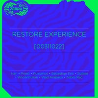 VA – Restore Experience [00311022] [Zebra Rec.]