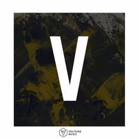 VA – Voltaire Music Pres. V – Issue 48 [Voltaire Music]