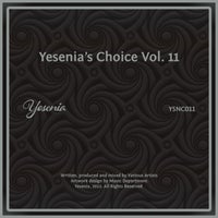 VA – Yesenia’s Choice Vol. 11 YSNC011