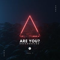 VA – Are You Underground Vol. 1 [Time2Fly Records]