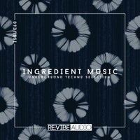VA – Ingredient Music Vol. 60 [Re vibe Audio]