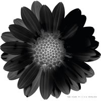 VA – Two Years PT.2 [Virescence Records]