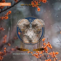 VA – Sounds From The Heart Of The Earth [AMW060]