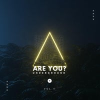 VA – Are You Underground Vol. 4 [Time2Fly Records]
