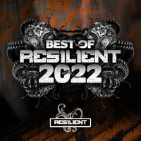 VA – End of year Compilation RES053 Resilient Recordings