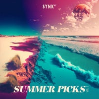 VA – SUMMER PICKS Vol.1 [SYNK87]