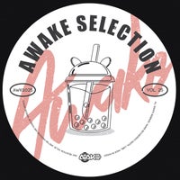 VA – AWK Selection Vol. 25 AWKS025