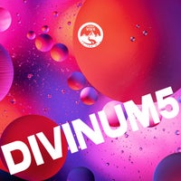 VA – Divinum 5 [Natura Viva In The Mix]