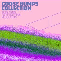 VA – Goose Bumps Collection Vol. 9 SUPER475 Superordinate Music