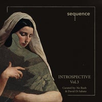 VA – Introspective Vol. 3 Curated by David Di Sabato & No Rush SEQI003