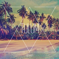 VA – Voltaire Music Pres. The Tulum Diary 2023 VOLTCOMP1171