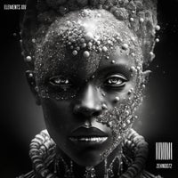 VA – Elements 13 ZEHN0072DJ ZEHN Records