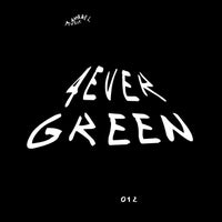 VA – 4evergreen 012 APL4VRGRN012