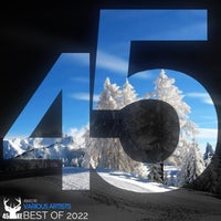 VA – The Best Of 2022 45KE076