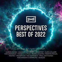 VA – Perspectives Best of 2022 PSDI2022