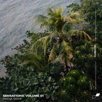 VA – Sensations Vol. 01 [LSCVIB010]