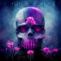 VA – Best of Purple [BLRMPURPLE017]
