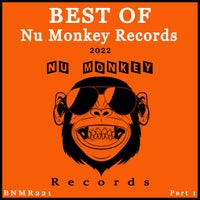 VA – Best Of Nu Monkey Records 2022 Part 1 BNMR221