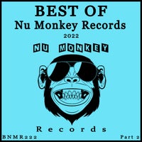 VA – Best Of Nu Monkey Records 2022 Part 2 BNMR222