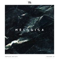 VA – Melodica Vol. 14 [Variety Music]