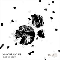 VA – Best Of 2022 TDRBST022 Tonic D Records