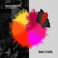 VA – Litterbox 13 BOC155DJ