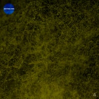 VA – Additional Gems [Obazda]