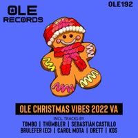 VA – Ole Christmas Vibes 2022 VA [Ole Rec]