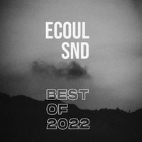 VA – Best of 2022 ECOULCP002 ECOUL SND