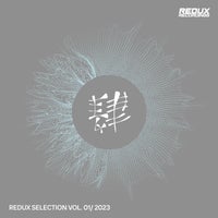 VA – Redux Selection Vol. 1 2023 [Redux Digital]