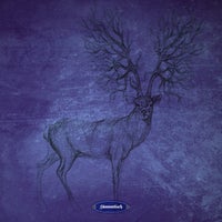 VA – Big Flow [Stammtisch]
