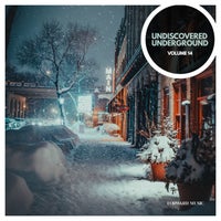 VA – Undiscovered Underground Vol. 14 [FM055LP]