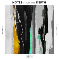 VA – Notes from the Depth Vol. 25 [ZR001]