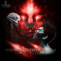 VA – Psychedelic Experiences II [Patanjali Records]