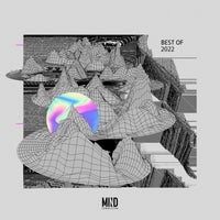 VA – Mind Connector Best Of 2022 [Mind Connector Records]