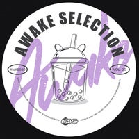 VA – AWK Selection Vol. 30 [AWK Recordings]