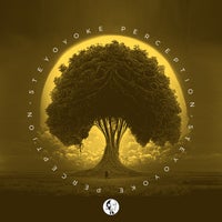 VA – Steyoyoke Perception Vol. 10 SYYKPERC010