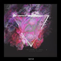 VA – Triangle Vol. 6 ALULA176