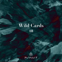 VA – Wild Cards 18 [PRST084]