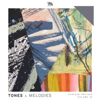 VA – Tones & Melodies, Vol. 16 [Variety Music]