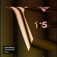 VA – Visceral 115 VSCR2208