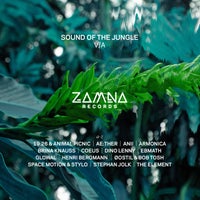 VA – Sound of the Jungle ZR001 ZAMNA Records