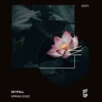 VA – SkyFall Spring 2023 [ST171]
