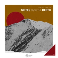 VA – Notes from the Depth, Vol. 26 [VOLTCOMP1187]