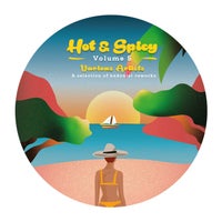 VA – Hot’n’Spicy Vol. 5 HNS005