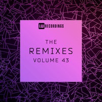 VA – The Remixes Vol. 43 LWTR43