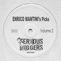 VA – Enrico Mantini’s Picks Vol. 2 [Serious Diggers]