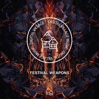 VA – Festival Weapons [Digital Village Music]